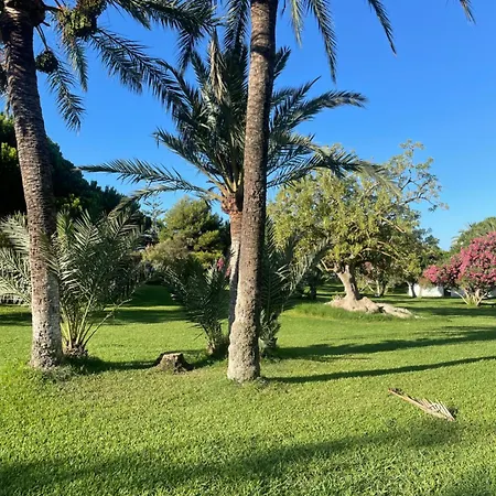 Coronado Apartman